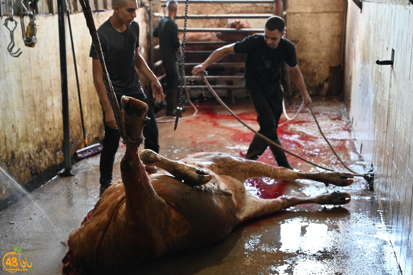 WhatsApp Image 2023-06-29 at 3.40.45 PM.jpg